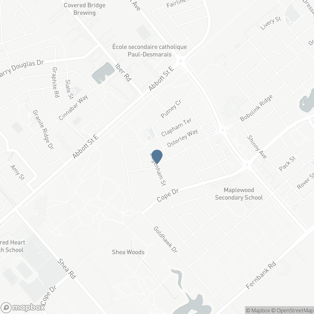 113 DAGENHAM STREET, Ottawa, Ontario K2S 2N5